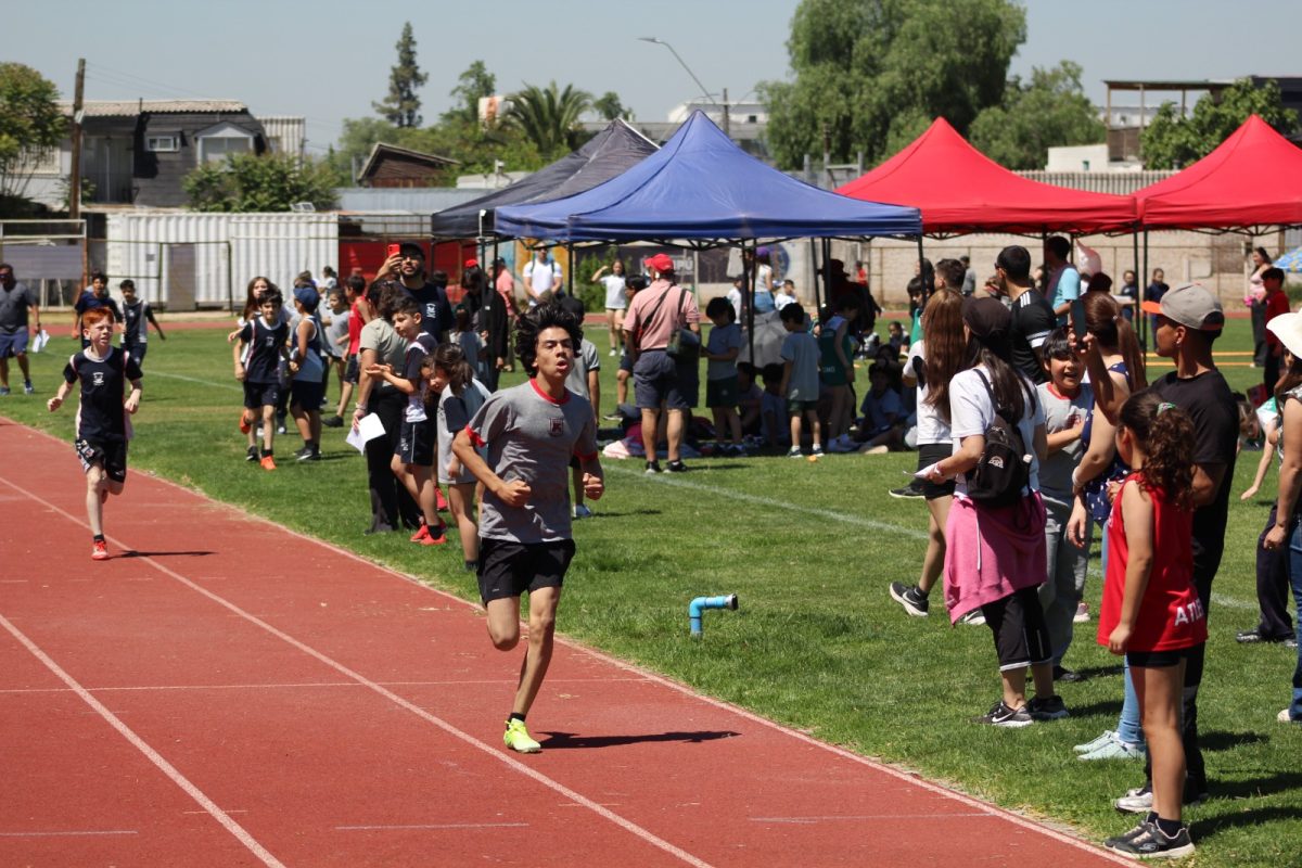 Gran desempeño de nuestros estudiantes en la última fecha de las Olimpiadas Boston Educa