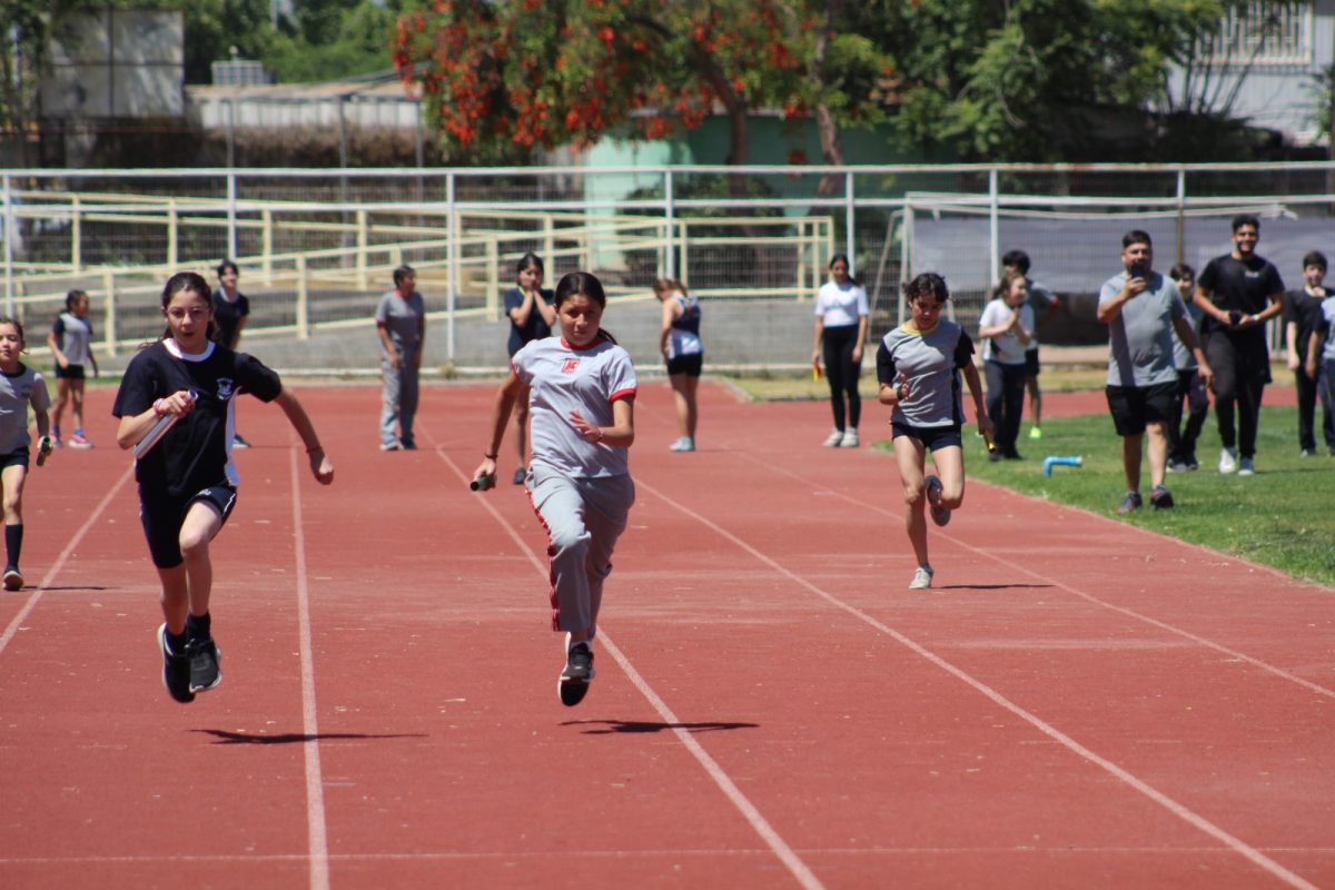 Gran desempeño de nuestros estudiantes en la última fecha de las Olimpiadas Boston Educa