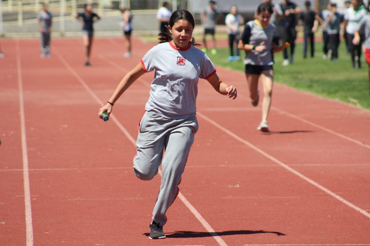 Gran desempeño de nuestros estudiantes en la última fecha de las Olimpiadas Boston Educa