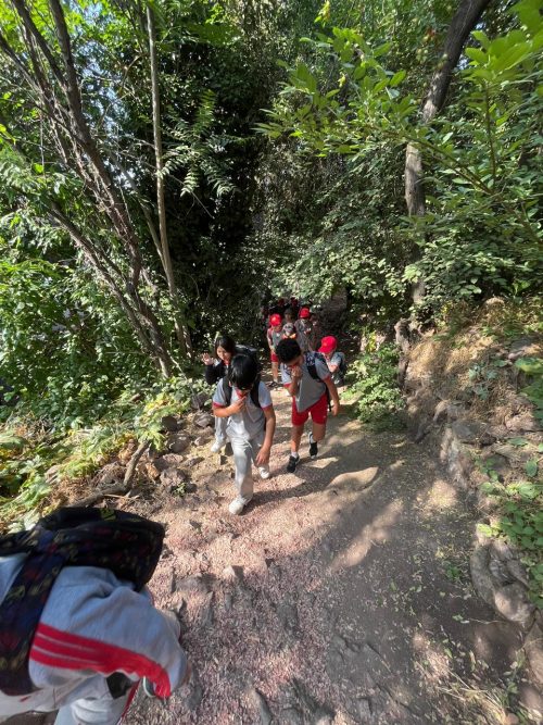 Estudiantes de 3° Básico realizaron enriquecedora salida pedagógica al Cerro San Cristóbal