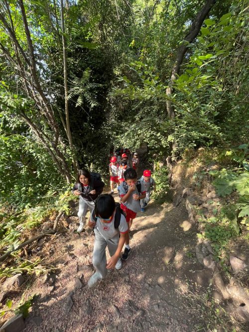 Estudiantes de 3° Básico realizaron enriquecedora salida pedagógica al Cerro San Cristóbal
