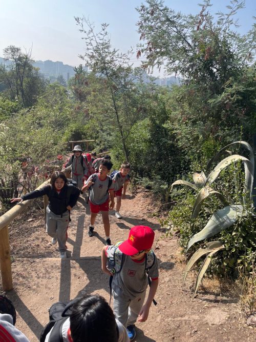 Estudiantes de 3° Básico realizaron enriquecedora salida pedagógica al Cerro San Cristóbal