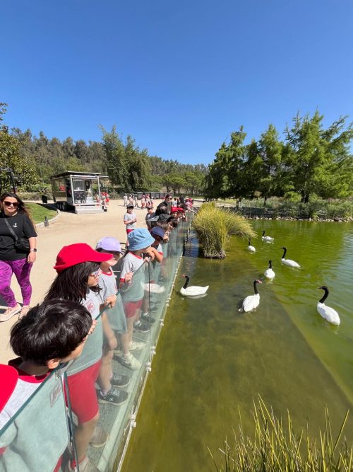 Visita al parque bicentenario de Vitacura