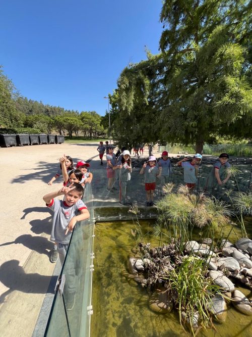 Visita al parque bicentenario de Vitacura