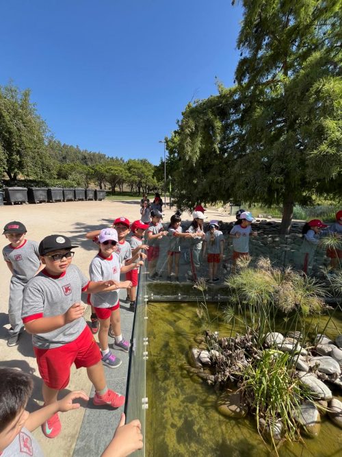 Visita al parque bicentenario de Vitacura
