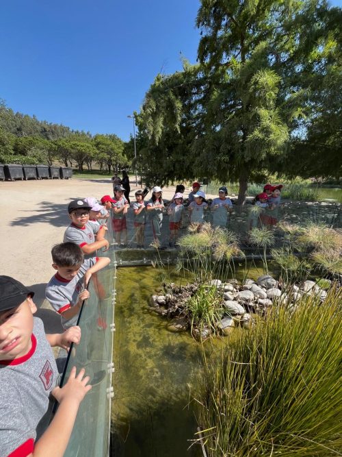 Visita al parque bicentenario de Vitacura