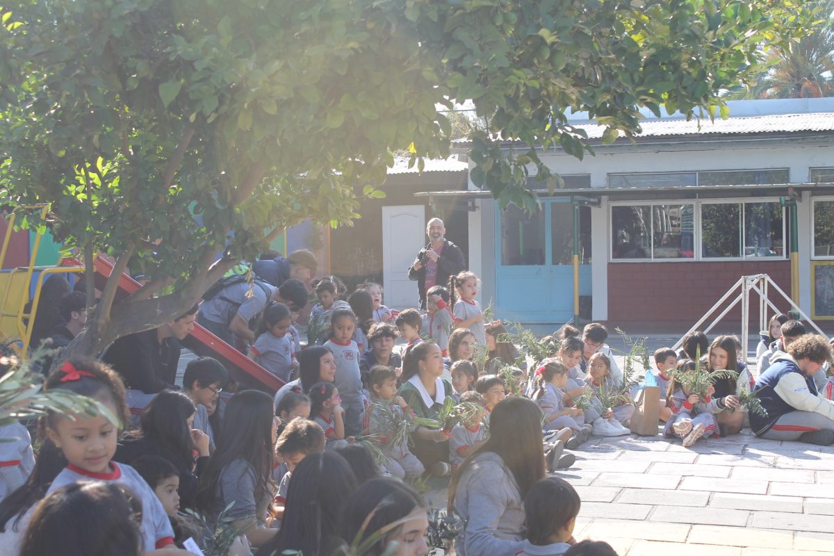 Fiesta de los Ramos. Confección y bendición de los ramos.