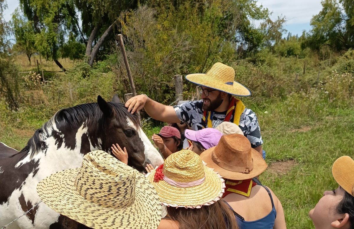 campamento de verano Scouts