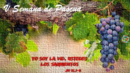 ORACIÓN DE LA MAÑANA DEL 4 AL 8 DE MAYO