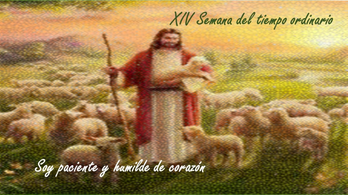 Oración de la mañana 6 al 10 de julio
