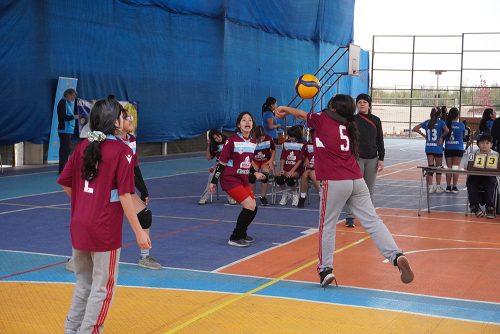 Vóleibol Mini Damas – Olimpiadas BostonEduca 2026