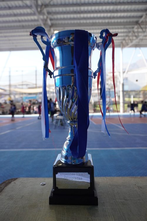 Vóleibol Mini Varones – Olimpiadas BostonEduca 2026
