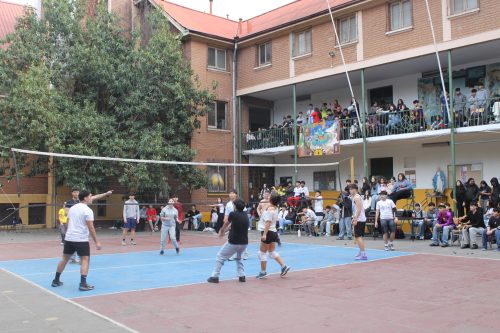 Alianzas 2026 15 de julio