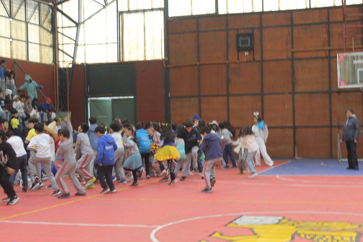 Alianzas 2026 – 14 de julio
