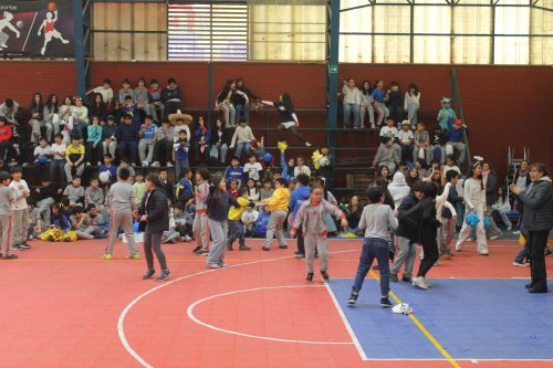 Alianzas 2026 – 14 de julio