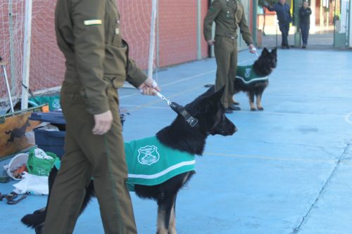 Visita de la Escuela de Adiestramiento de Carabineros de Chile