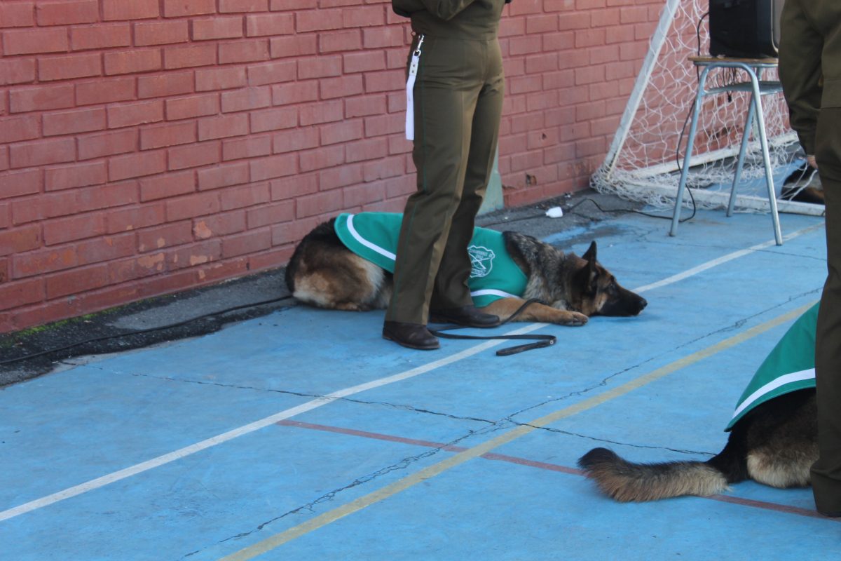 Visita de la Escuela de Adiestramiento de Carabineros de Chile