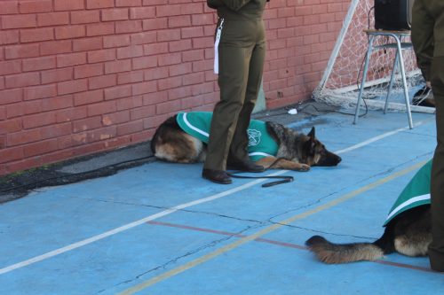Visita de la Escuela de Adiestramiento de Carabineros de Chile