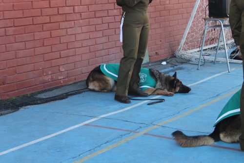 Visita de la Escuela de Adiestramiento de Carabineros de Chile
