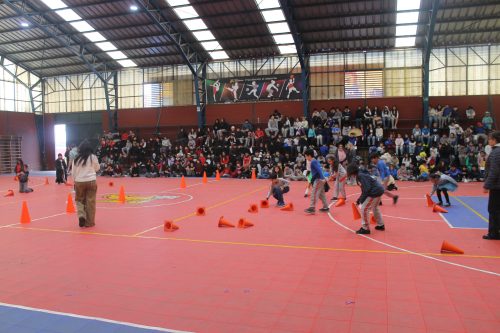 Alianzas 2026 – 14 de julio