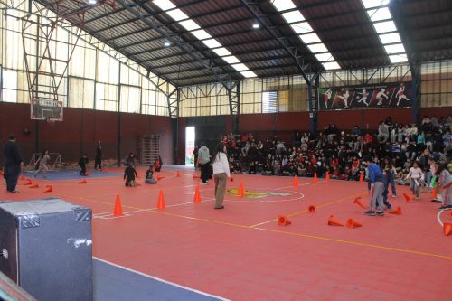 Alianzas 2026 – 14 de julio