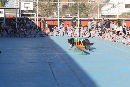 Visita de la Escuela de Adiestramiento de Carabineros de Chile