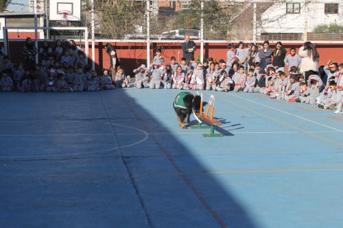 Visita de la Escuela de Adiestramiento de Carabineros de Chile