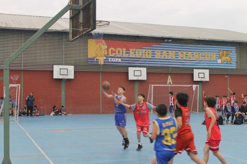 Destacada participación en las Olimpiadas BostonEduca de Básquetbol mini varones