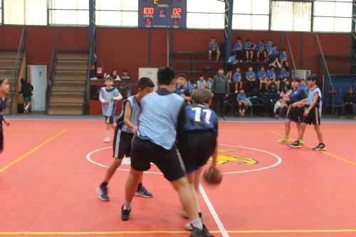 Destacada participación en las Olimpiadas BostonEduca de Básquetbol mini varones