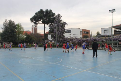 Destacada participación en las Olimpiadas BostonEduca de Básquetbol mini varones