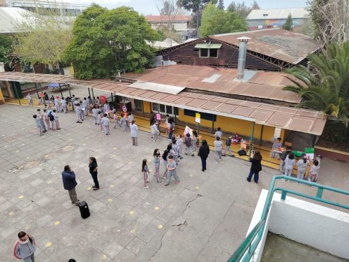 ¡Gran muestra de creatividad y aprendizaje en 3º básico!