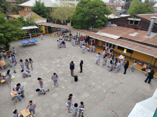 ¡Gran muestra de creatividad y aprendizaje en 3º básico!